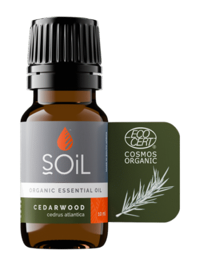 Cedar Wood Essential Oil