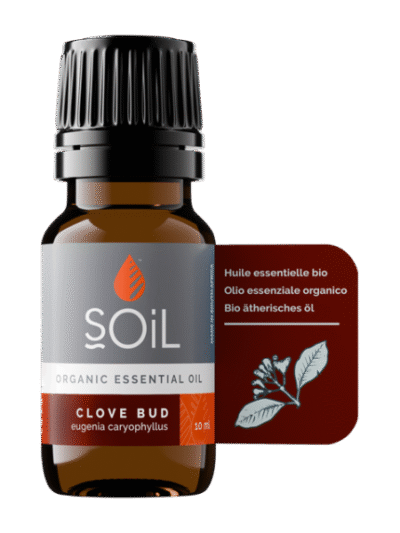 Clove Bud Organic Essential Oil