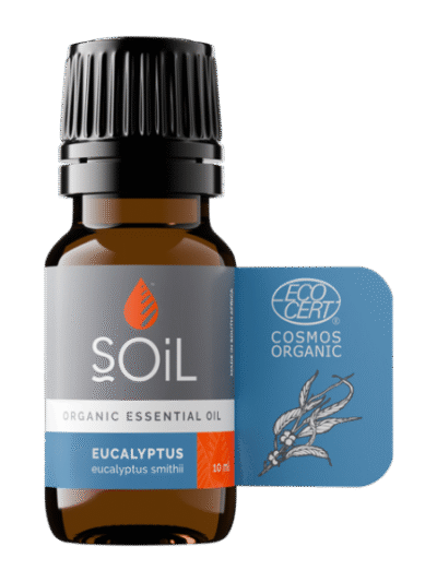 Eucalyptus Smithii Organic Essential Oil