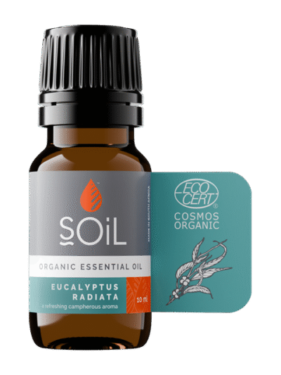 Eucalyptus Radiata Organic Essential Oil