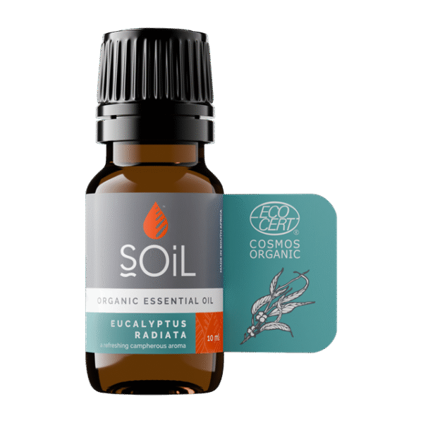 Eucalyptus Radiata Organic Essential Oil